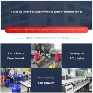 Valvola di Riduzione della Pressione del <span class=keywords><strong>Gas</strong></span> Naturale DTR-5AA (Q5) DN15 Coreana, Valvola Regolatrice di Pressione per Condotte di <span class=keywords><strong>Gas</strong></span> Naturale, Flusso 5KG/h - Product Image 4