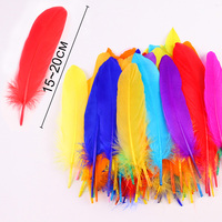 Großhandel Gänse feder 15-22CM 100Pcs/10-15CM 100Pcs DIY Modedesigner Handwerk Träumer Kleidung Dekoration