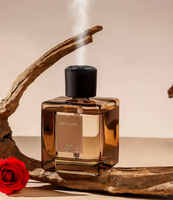Diffuseur d'aromathérapie automatique en verre au design de flacon de parfum, interface USB-C, quatre réglages ajustables, sans BPA, écologique pour