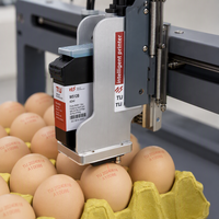 Máquina de Codificación Inteligente de Eje XY Multi-idioma para Etiquetas de Huevos, Tarjetas, Baterías y Componentes Electrónicos