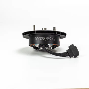 Motor Original Agras T50 10033 48KV 10028 59KV, Piezas del Sistema Metálico para Dron Agrícola UAV T40 T25, Accesorios de Marca - Product Image 2