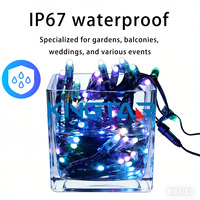 Luces de Navidad, Tira de Luces LED de 12 mm IP68, Luces Puntuales LED de 12 V, Cuerpo de PVC, RGB, para Parques Temáticos, Paisajes, Fiestas, Hoteles, Hogares, Calles
