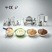 Machine à amidon pré-gélatinisé de grande capacité 1 tonne/h, ligne de production de céréales pour bébés, machine à aliments instantanés pour bébés