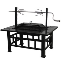 Table de feu de poulet rôti avec grill, carrelage de jardin, acier inoxydable