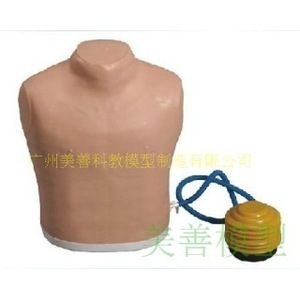 Modèles médicaux, modèles de formation hospitalière, modèles de traitement du pneumothorax, modèles de traitement par thoracentèse et de ponction. - Product Image 2