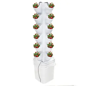 Home Real Vertical Planter system Hydroponic Vertical System for Strawberry