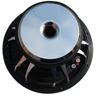 Kotak Subwoofer Mobil 15 Inch 800W Dual Voice Coil 10 Inch dengan Papan Filter Low Pass untuk Mobil