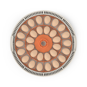 WONEGG 2024 Nouveau modèle Incubateur automatique à température contrôlée 30H pour <span class=keywords><strong>30</strong></span> œufs de poule avec testeur d'œufs LED <span class=keywords><strong>Prix</strong></span> compétitif - Product Image 4