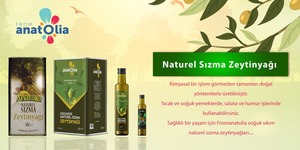 Meilleur liquide de l'huile d'olive d'anatolie, bouteille en verre de haute qualité, presse à froid, huile d'olive Extra vierge 1 LT - Product Image 4