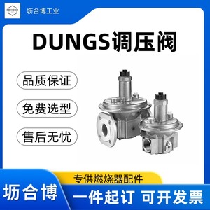 Vanne de réduction de pression authentique Dungs FRS5080, vanne de régulation de pression de gaz Dungs DN65 à bride 500 mbar - Product Image 2