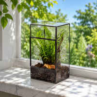 Terrarium en verre antique avec cadre noir, pot à plantes succulentes, décoration intérieure, récipient pour plantes, pour la maison, le bureau, la présentation sur le bureau