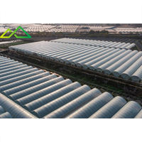 Hotsales grote multi-span PE enkellaags polyfolie kas voor commerciële tomaten- en aardbeienteelt