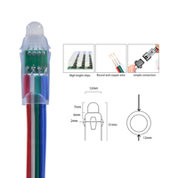 Vente flash Lumière LED numérique à pixels RGB 12 mm WS2811 Lumière LED à pixels pleine couleur Décorations lumineuses de Noël DC12V Extérieur Étanche