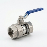 Válvulas de Bola Manuales de Acero Inoxidable 304 de 2 Piezas DN25 OEM Carp Journey Q11F-64P para Tuberías de Agua, Aceite y Gas
