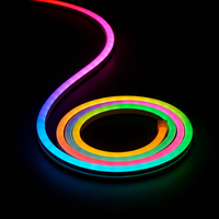 Bande LED néon flexible RGB PVC à émission latérale 24V 96 LED/m 7-8W/m IP65 Rouleau de 5m Dimmable Garantie 2 ans
