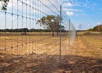 Clôture en fil de fer galvanisé pour ferme et champ, maille métallique pour bétail, chèvres, cerfs, chevaux - Protection durable pour le bétail dans la cour