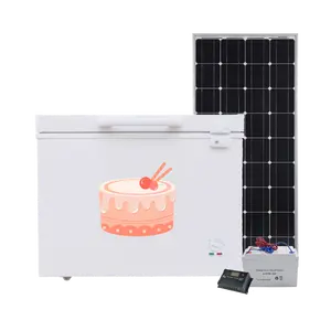 308 리터 용량 태양열 냉동 기능 12/24v 단일 도어 단일 온도 DC 냉동고