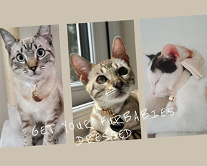 White Breakaway Quick Release Leather Clasp Modern Tactical Personalized <b>Cat</b> Bow with Engraved <b>Tag</b> Custom Kitten Gift Collar - Product Image 6