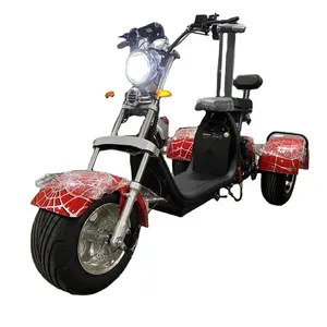 EEC وافق 3 عجلات سكوتر كهربائي الدهون الإطارات E دراجة ثلاثية العجلات الدراجة 1500W 45 km/h التنقل سكوتر