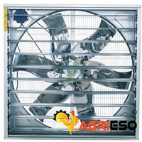 Ventilateur d'extraction push-pull de 36, 50 et 54 pouces pour l'élevage de poulets de chair et de poules pondeuses