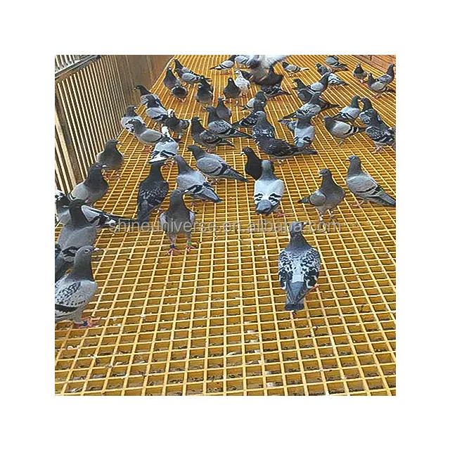 SU-Hight Quality Frp Grating Smooth Surface Plastic Floor Grills For Pigeon Lofts