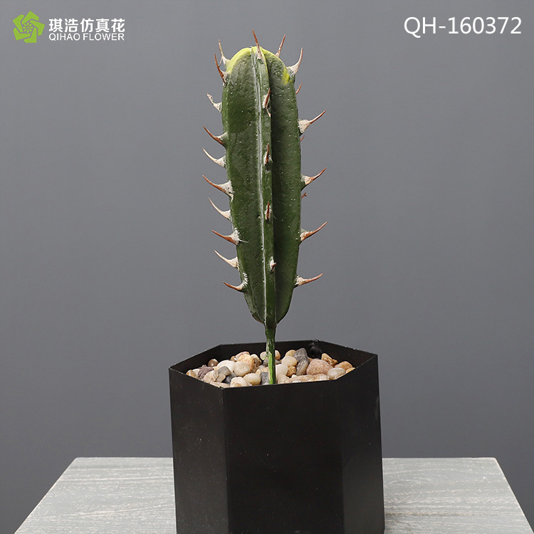 QH-160372 (without pot)