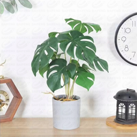 Vente en gros d'usine, plantes artificielles en sisal plastique de haute qualité, écologiques, résistantes aux UV, 20 cm, toucher réaliste, pour la maison et le jardin