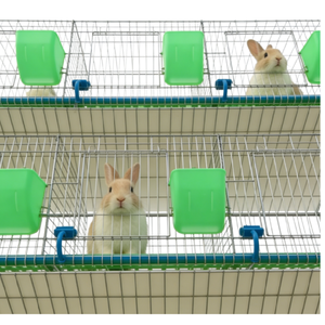 Cage à lapins robuste en acier galvanisé de type H avec nichoir intégré pour des opérations d'élevage agricole à haute productivité - Product Image 6