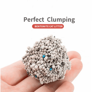 Miglior Lettiera per <span class=keywords><strong>Gatti</strong></span> Premium Agglomerante al Carbone Attivo e Bentonite, Vendita all'Ingrosso - Product Image 4