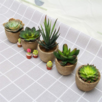 Plantes succulentes artificielles en pot, assorties de fausses plantes succulentes décoratives en pot de faux cactus avec des pots