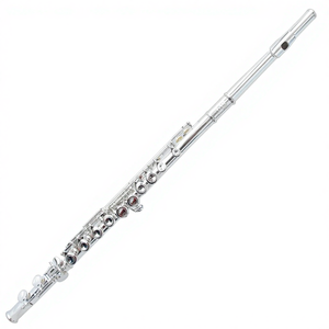 <span class=keywords><strong>Flauta</strong></span> Plateada de 16 Orificios en Clave de Do, Diseño de Orificios Cerrados, Instrumento Musical - Product Image 1