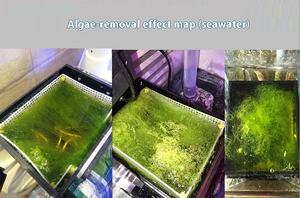 ATS UAS - Caja Externa Profesional para Algas para Peceras, Filtración Ecológica, Absorción de <span class=keywords><strong>NO3</strong></span>, Accesorios para Acuarios de Agua de Mar - Product Image 3