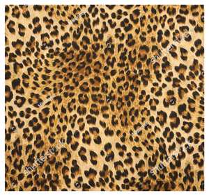 Tessuto Popeline <span class=keywords><strong>Outlet</strong></span> di Fabbrica, Fantasia Leopardata, Stampa Digitale Personalizzata, 100% Cotone per Abbigliamento, Tessuto Liscio Leggero - Product Image 6