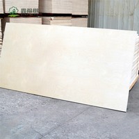 Contrachapado Comercial Yangmu Core con Acabado de Chapa de Madera Natural, Tablero Okuman Especialmente Diseñado para el Mercado del Mueble