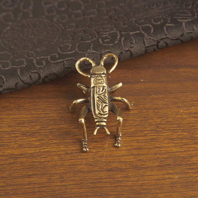 คริกเก็ตสีสันสดใส