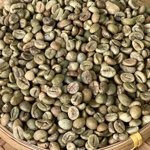 Tamaño 16 Grano de café verde Robusta 100% Granos de café crudos Uso en tostado de café industrial Bolsa de yute de madurez 95% - Product Image 5