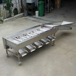 Máquina Clasificadora <span class=keywords><strong>de</strong></span> Frutas y Verduras, Clasificadora <span class=keywords><strong>de</strong></span> Naranjas, Limones, <span class=keywords><strong>Chufa</strong></span>, Patatas y Tomates - Product Image 2