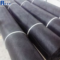 Géonet innovant biaxial composite drainage geonet PEHD plastique végétation geonet pour la construction de routes Protection des rivières