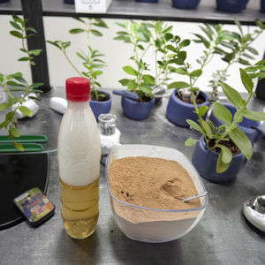 Vente en gros d'usine : Extrait de saponine de graines de <span class=keywords><strong>camélia</strong></span> à 80 %, poudre extraite par solvant, libération rapide, saponine de thé biologique pour l'aquaculture - Product Image 6