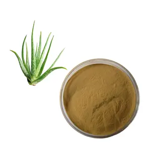 Manufacturer Direct Supply Cosmetics Raw Material Aloe Extract Power