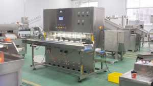 มะม่วงมะละกอผลไม้อุปกรณ์ปอกเปลือกอัตโนมัติ8หัว - Product Image 4