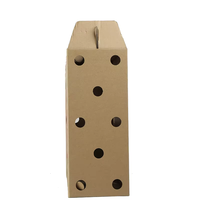 Boîtes en carton ondulé personnalisées haut de gamme pour oiseaux vivants avec trous pour le transport des poulets, boîtes en carton transportables