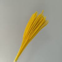 Bunga Rumput Kylin Kering Terawetkan Warna Kuning Emas, Rumput Foxtail, Rumput Horsetail, Rumput Pampas Mengembang, untuk Pernikahan Boho, Hari Ibu