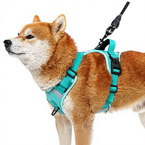 Arnés Ajustable y Acolchado para Perro, Reflectante, Deportivo, con Correa para el Pecho, para Perros Pequeños, Medianos y Grandes, Color Verde Azulado - Product Image 6