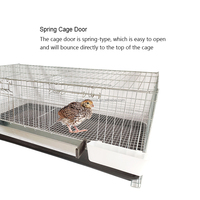 YYC Cage à Cailles Superposable de Haute Qualité pour l'Élevage des Poussins et l'Augmentation de la Production d'Œufs
