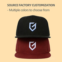 Casquette Snapback Sportive à Visière Plate en Sergé de Coton Oxford à 6 Panneaux avec Logo Brodé en 3D Personnalisé de Haute Qualité, Résistante à l'Usure, Nouvelle Tendance