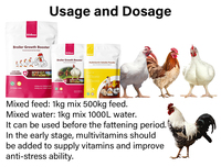 Grillage d'engraissage de vitamines minéraux, prémélange de combat coq poulet à vendre
