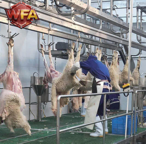 Línea de Sacrificio de Ovejas y Cabras de Pequeña Capacidad, Sistema de Transporte Aéreo de Acero Inoxidable, Planta de Procesamiento de Carne, <span class=keywords><strong>Matadero</strong></span> - Product Image 2