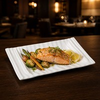 Assiette en mélamine incassable pour usage commercial dans les restaurants haut de gamme