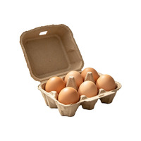 Boîte à œufs jetable en pâte de papier recyclée, 6 compartiments, emballage biodégradable en fibre moulée, support en carton